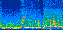 /calipso-imagery/data/BROWSE/production/V5-00/2022-07-29/2022-07-29_15-45-20_V5.00_3_thmb.png image missing