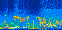 /calipso-imagery/data/BROWSE/production/V5-00/2022-07-29/2022-07-29_17-23-50_V5.00_3_thmb.png image missing