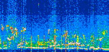 /calipso-imagery/data/BROWSE/production/V5-00/2022-07-29/2022-07-29_20-40-51_V5.00_3_thmb.png image missing