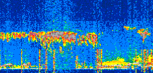 /calipso-imagery/data/BROWSE/production/V5-00/2022-07-30/2022-07-30_09-48-42_V5.00_2_thmb.png image missing