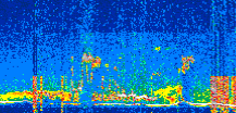 /calipso-imagery/data/BROWSE/production/V5-00/2022-07-30/2022-07-30_13-05-38_V5.00_2_thmb.png image missing