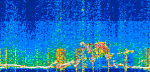 /calipso-imagery/data/BROWSE/production/V5-00/2022-07-30/2022-07-30_22-56-29_V5.00_3_thmb.png image missing