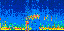 /calipso-imagery/data/BROWSE/production/V5-00/2022-08-01/2022-08-01_02-50-42_V5.00_2_thmb.png image missing