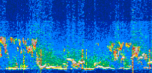 /calipso-imagery/data/BROWSE/production/V5-00/2022-08-01/2022-08-01_02-50-42_V5.00_3_thmb.png image missing