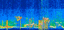 /calipso-imagery/data/BROWSE/production/V5-00/2022-08-01/2022-08-01_06-07-38_V5.00_3_thmb.png image missing