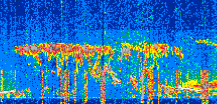 /calipso-imagery/data/BROWSE/production/V5-00/2022-08-01/2022-08-01_09-24-38_V5.00_2_thmb.png image missing
