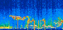 /calipso-imagery/data/BROWSE/production/V5-00/2022-08-01/2022-08-01_17-36-59_V5.00_3_thmb.png image missing