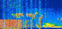 /calipso-imagery/data/BROWSE/production/V5-00/2022-08-01/2022-08-01_19-15-29_V5.00_2_thmb.png image missing