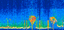 /calipso-imagery/data/BROWSE/production/V5-00/2022-08-03/2022-08-03_00-48-08_V5.00_3_thmb.png image missing
