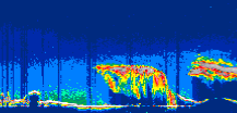 /calipso-imagery/data/BROWSE/production/V5-00/2022-08-03/2022-08-03_03-19-14_V5.00_3_thmb.png image missing