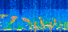 /calipso-imagery/data/BROWSE/production/V5-00/2022-08-03/2022-08-03_04-05-09_V5.00_3_thmb.png image missing