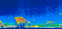 /calipso-imagery/data/BROWSE/production/V5-00/2022-08-03/2022-08-03_05-43-34_V5.00_1_thmb.png image missing