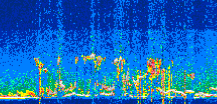 /calipso-imagery/data/BROWSE/production/V5-00/2022-08-03/2022-08-03_05-43-34_V5.00_3_thmb.png image missing