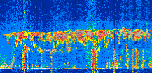 /calipso-imagery/data/BROWSE/production/V5-00/2022-08-03/2022-08-03_09-00-34_V5.00_2_thmb.png image missing