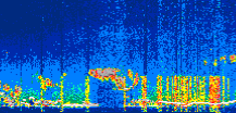 /calipso-imagery/data/BROWSE/production/V5-00/2022-08-03/2022-08-03_13-56-00_V5.00_1_thmb.png image missing