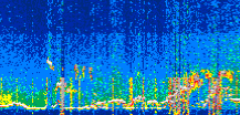 /calipso-imagery/data/BROWSE/production/V5-00/2022-08-03/2022-08-03_13-56-00_V5.00_3_thmb.png image missing