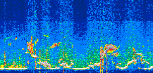 /calipso-imagery/data/BROWSE/production/V5-00/2022-08-03/2022-08-03_17-13-00_V5.00_3_thmb.png image missing