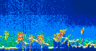 /calipso-imagery/data/BROWSE/production/V5-00/2022-08-03/2022-08-03_17-13-00_V5.00_4_thmb.png image missing