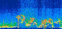 /calipso-imagery/data/BROWSE/production/V5-00/2022-08-03/2022-08-03_18-51-25_V5.00_3_thmb.png image missing