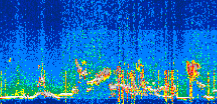 /calipso-imagery/data/BROWSE/production/V5-00/2022-08-03/2022-08-03_22-08-26_V5.00_3_thmb.png image missing