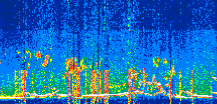 /calipso-imagery/data/BROWSE/production/V5-00/2022-08-05/2022-08-05_03-41-05_V5.00_3_thmb.png image missing