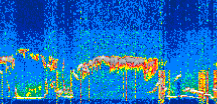 /calipso-imagery/data/BROWSE/production/V5-00/2022-08-05/2022-08-05_05-19-30_V5.00_3_thmb.png image missing