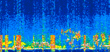 /calipso-imagery/data/BROWSE/production/V5-00/2022-08-05/2022-08-05_11-53-26_V5.00_3_thmb.png image missing