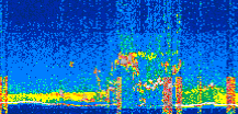 /calipso-imagery/data/BROWSE/production/V5-00/2022-08-05/2022-08-05_13-31-56_V5.00_2_thmb.png image missing