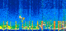 /calipso-imagery/data/BROWSE/production/V5-00/2022-08-05/2022-08-05_13-31-56_V5.00_3_thmb.png image missing