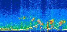 /calipso-imagery/data/BROWSE/production/V5-00/2022-08-05/2022-08-05_16-48-56_V5.00_3_thmb.png image missing