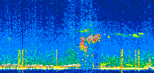 /calipso-imagery/data/BROWSE/production/V5-00/2022-08-05/2022-08-05_21-44-22_V5.00_2_thmb.png image missing