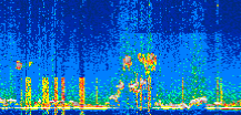 /calipso-imagery/data/BROWSE/production/V5-00/2022-08-05/2022-08-05_23-22-47_V5.00_2_thmb.png image missing