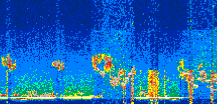 /calipso-imagery/data/BROWSE/production/V5-00/2022-08-10/2022-08-10_00-13-09_V5.00_3_thmb.png image missing