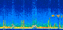 /calipso-imagery/data/BROWSE/production/V5-00/2022-08-10/2022-08-10_01-51-40_V5.00_2_thmb.png image missing