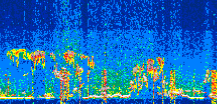 /calipso-imagery/data/BROWSE/production/V5-00/2022-08-10/2022-08-10_03-30-05_V5.00_3_thmb.png image missing