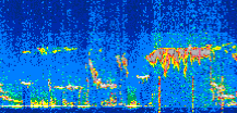 /calipso-imagery/data/BROWSE/production/V5-00/2022-08-10/2022-08-10_06-47-05_V5.00_2_thmb.png image missing