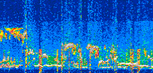 /calipso-imagery/data/BROWSE/production/V5-00/2022-08-10/2022-08-10_06-47-05_V5.00_3_thmb.png image missing