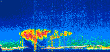 /calipso-imagery/data/BROWSE/production/V5-00/2022-08-10/2022-08-10_08-25-30_V5.00_1_thmb.png image missing