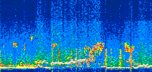 /calipso-imagery/data/BROWSE/production/V5-00/2022-08-10/2022-08-10_18-16-27_V5.00_3_thmb.png image missing