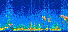/calipso-imagery/data/BROWSE/production/V5-00/2022-08-12/2022-08-12_03-06-01_V5.00_2_thmb.png image missing
