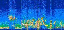 /calipso-imagery/data/BROWSE/production/V5-00/2022-08-12/2022-08-12_04-44-26_V5.00_3_thmb.png image missing