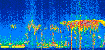 /calipso-imagery/data/BROWSE/production/V5-00/2022-08-12/2022-08-12_08-01-26_V5.00_2_thmb.png image missing