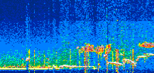 /calipso-imagery/data/BROWSE/production/V5-00/2022-08-12/2022-08-12_16-13-47_V5.00_3_thmb.png image missing