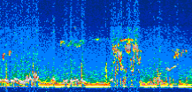 /calipso-imagery/data/BROWSE/production/V5-00/2022-08-16/2022-08-16_02-17-48_V5.00_2_thmb.png image missing