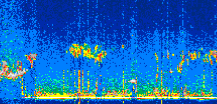 /calipso-imagery/data/BROWSE/production/V5-00/2022-08-16/2022-08-16_03-56-13_V5.00_2_thmb.png image missing