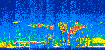 /calipso-imagery/data/BROWSE/production/V5-00/2022-08-16/2022-08-16_12-08-39_V5.00_2_thmb.png image missing
