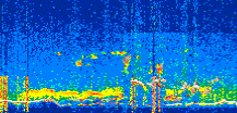 /calipso-imagery/data/BROWSE/production/V5-00/2022-08-16/2022-08-16_13-47-04_V5.00_2_thmb.png image missing