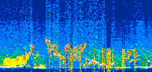 /calipso-imagery/data/BROWSE/production/V5-00/2022-08-16/2022-08-16_13-47-04_V5.00_3_thmb.png image missing