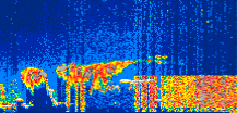 /calipso-imagery/data/BROWSE/production/V5-00/2022-08-16/2022-08-16_17-04-05_V5.00_1_thmb.png image missing