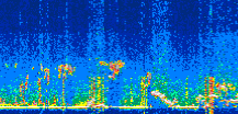 /calipso-imagery/data/BROWSE/production/V5-00/2022-08-16/2022-08-16_17-04-05_V5.00_3_thmb.png image missing